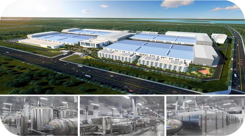 濟寧市2023年綠色低碳高質量發展現場觀摩會聚焦無窮食品泗水基地及項城網站建設