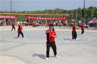 項城市鞭陀協會成立與項城網站建設