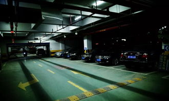 2018年春節文成縣城最全停車指南 大派送 ,收藏一圖,停車不愁