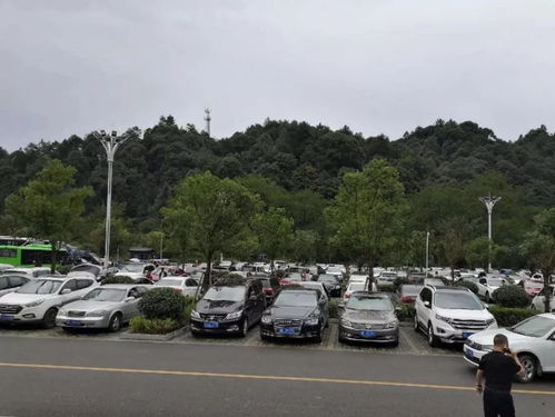 國(guó)慶第三天,梵凈山人氣十足,迎來(lái)客流高峰